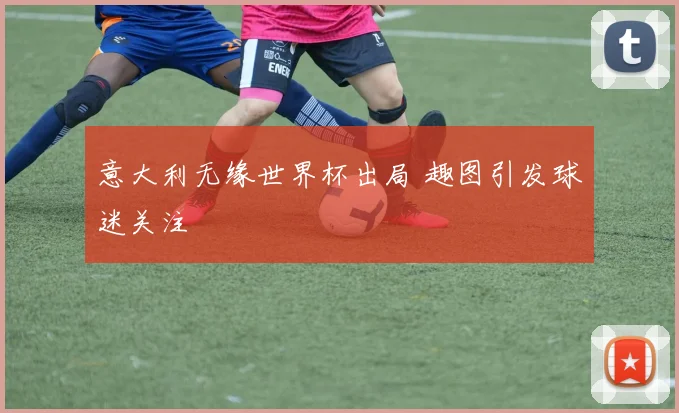 意大利无缘世界杯出局 趣图引发球迷关注