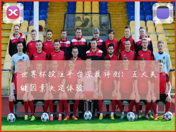 世界杯投注平台深度评测：五大关键因素决定体验