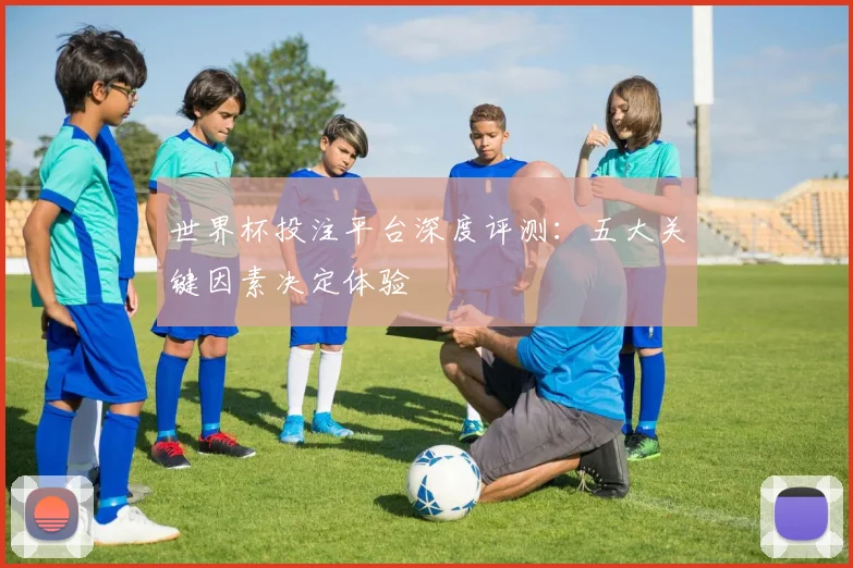 世界杯投注平台深度评测：五大关键因素决定体验