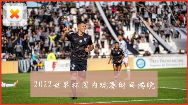 2022世界杯国内观赛时间揭晓