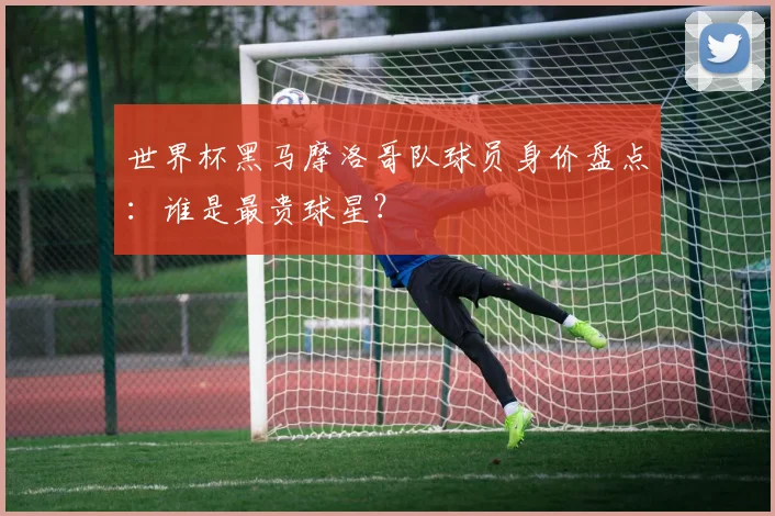 世界杯黑马摩洛哥队球员身价盘点:谁是最贵球星?