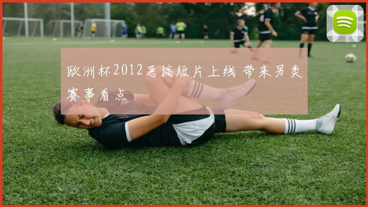 欧洲杯2012恶搞短片上线 带来另类赛事看点
